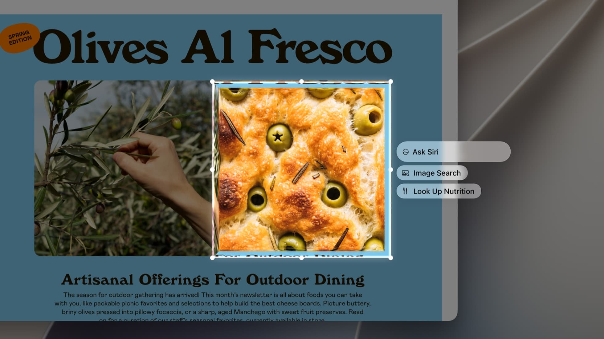 A close crop of a Mac screen showing a blue newsletter page titled Olives Al Fresco, with a photo of olive focaccia selected by drag handles and three Visual Intelligence buttons beside it: Ask Siri, Image Search and Look Up Nutrition.